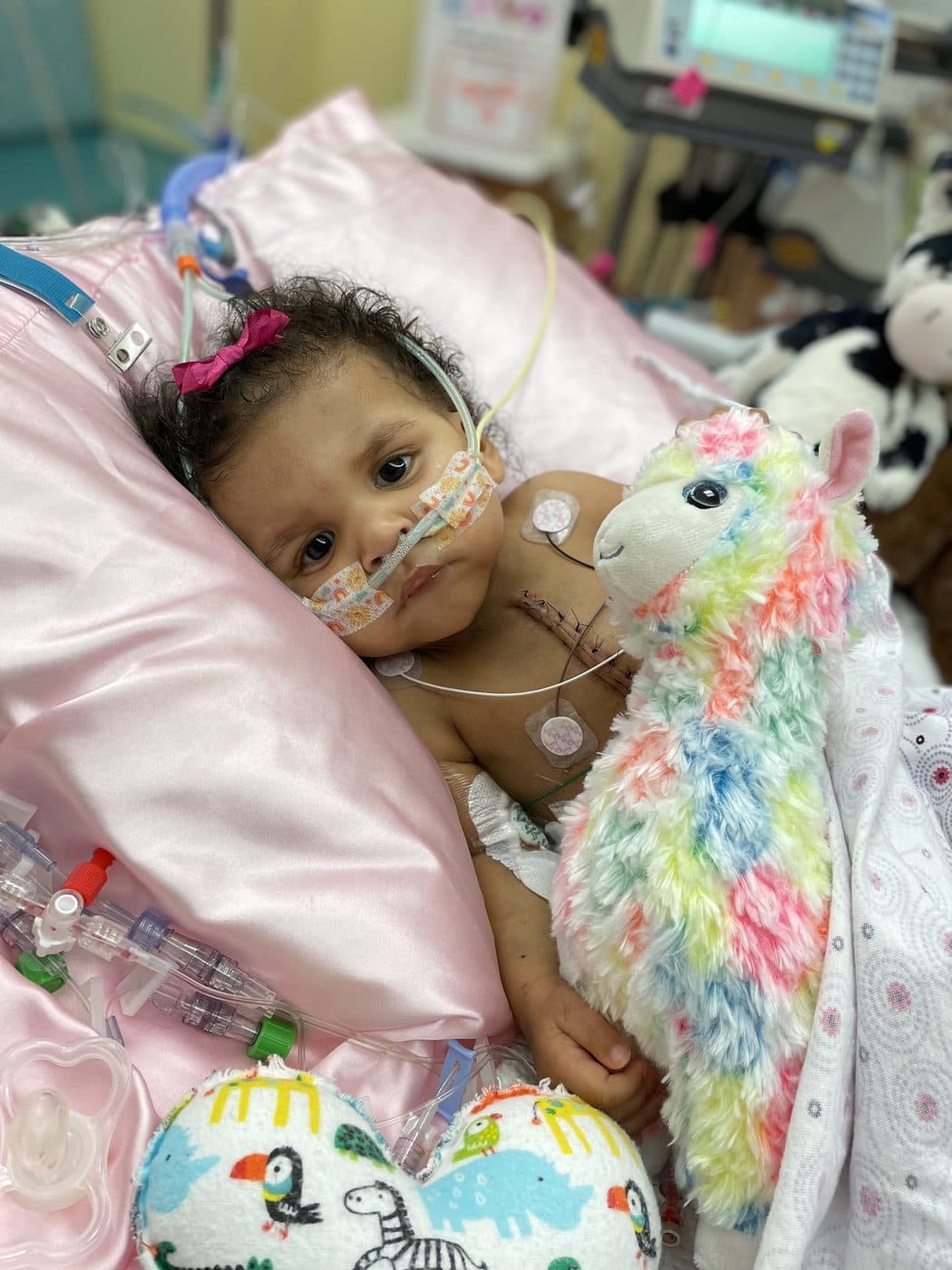 Jazzy resting in her hospital bed, holding a stuffed llama